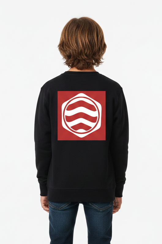Sudadera Cuadro Rojo Pinto Niño