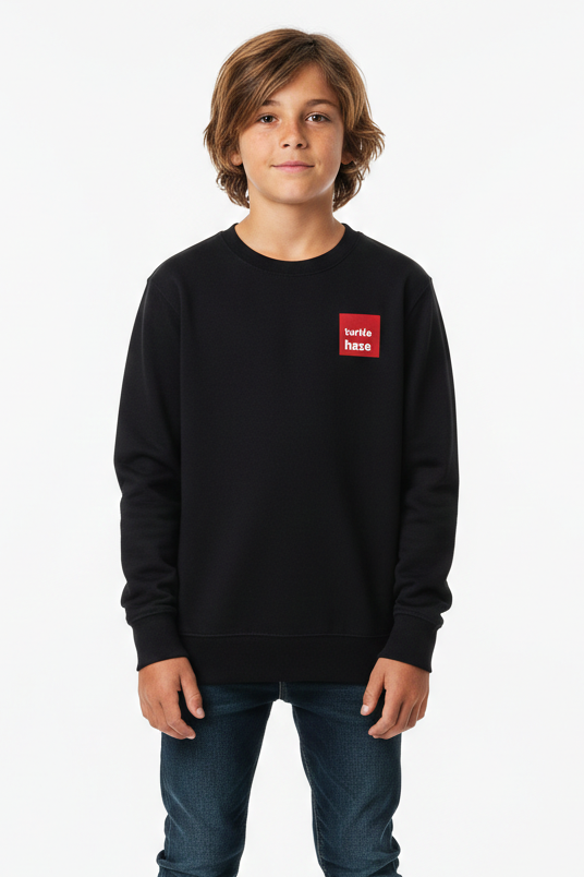 Sudadera Cuadro Rojo Pinto Niño